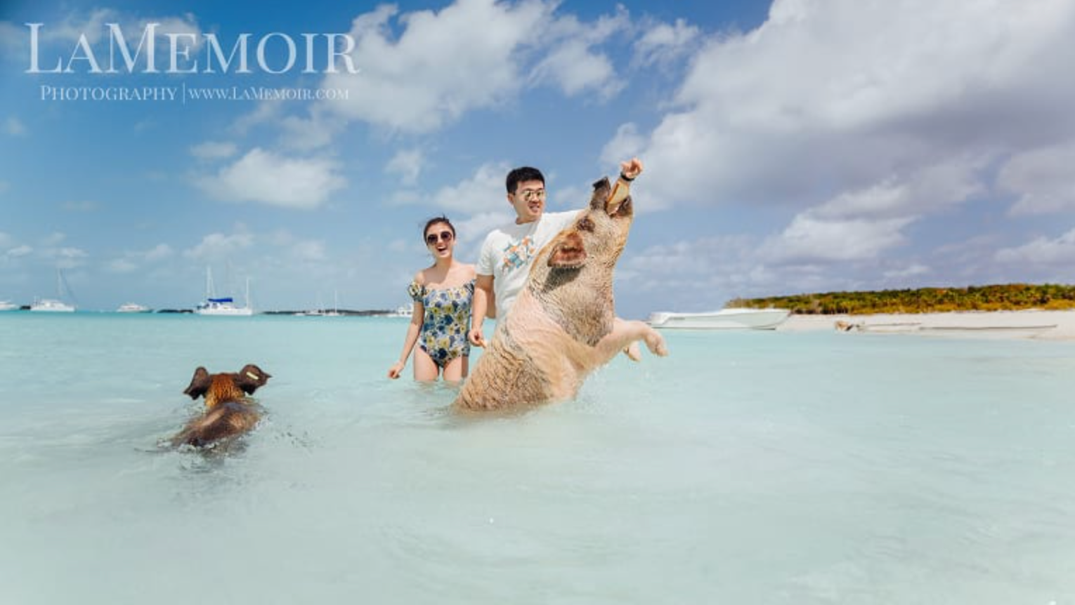 5f67790caf8175ae886d1942_BAHAMAS ENGAGEMENT SESSION ON PIG ISLAND